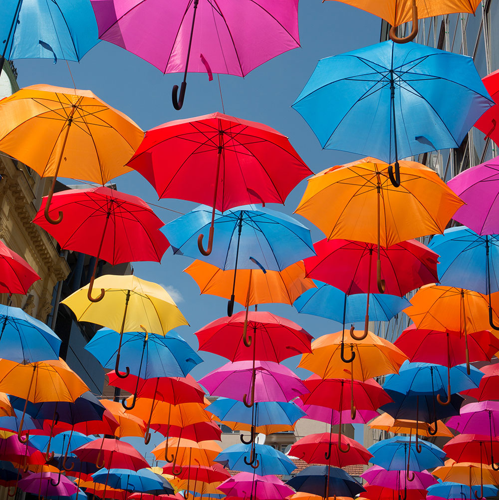Widest Range of Rain Umbrellas